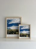 Alberta's Backyard Print (8"x10") - Alberta Canola Field in Summer